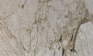 חיפויי קירות אריחי דמוי שיש WM40