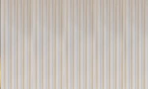 חיפוי קיר פולימרי WP64